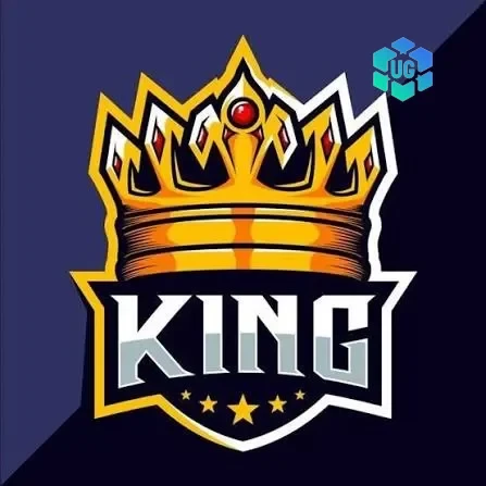 king403